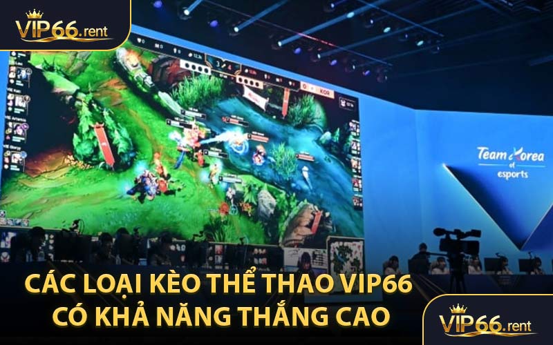 Các Loại Kèo Thể Thao VIP66 Có Khả Năng Thắng Cao