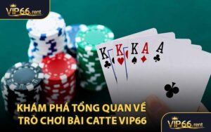 Khám Phá Tổng Quan Về Trò Chơi Bài Catte VIP66