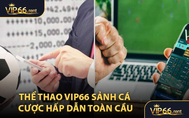 Thể thao VIP66 sảnh cá cược hấp dẫn toàn cầu