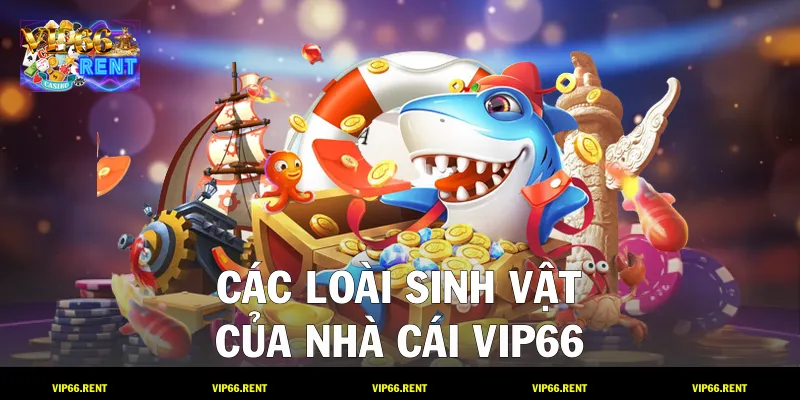Các loài sinh vật của nhà cái VIP66
