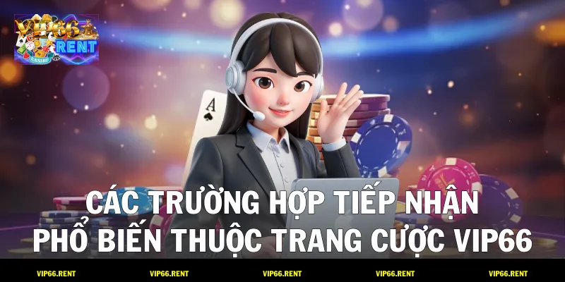 Các trường hợp tiếp nhận phổ biến thuộc trang cược VIP66